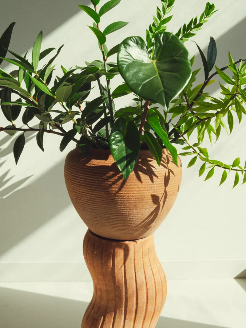 Illustration af en tekstureret terracottakrukke til planter